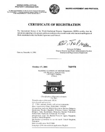 国际填充4.jpg